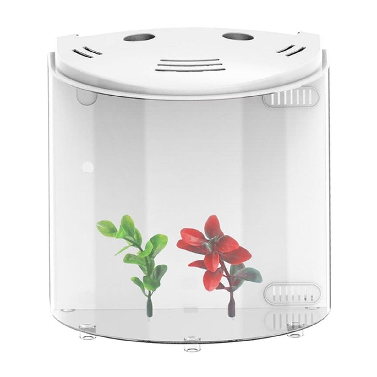 Eco-Aquaview: The Ultimate Ecological Acrylic Fish Tank