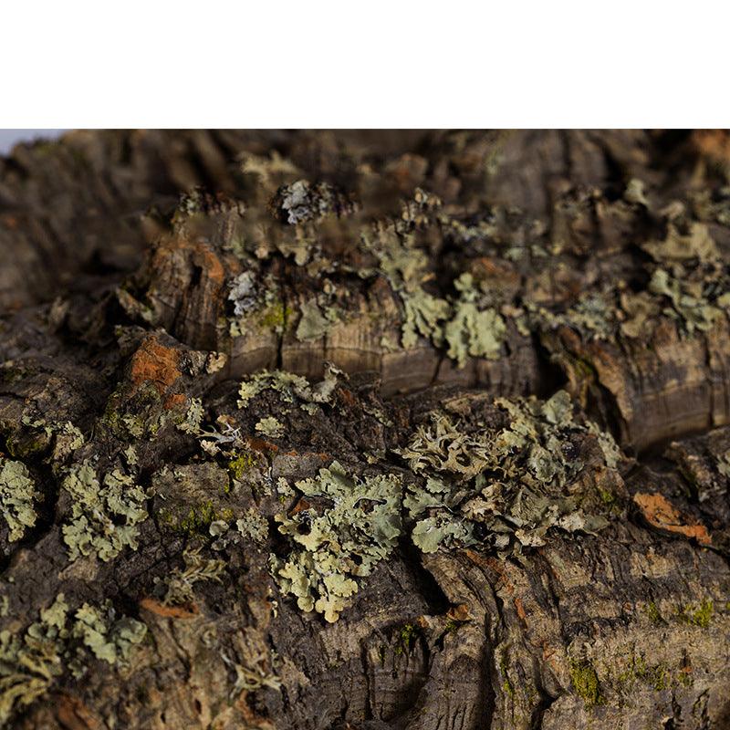 Reptile Hideaway Haven: Natural Cork Bark Climbing And Hiding Spot For Reptiles-2