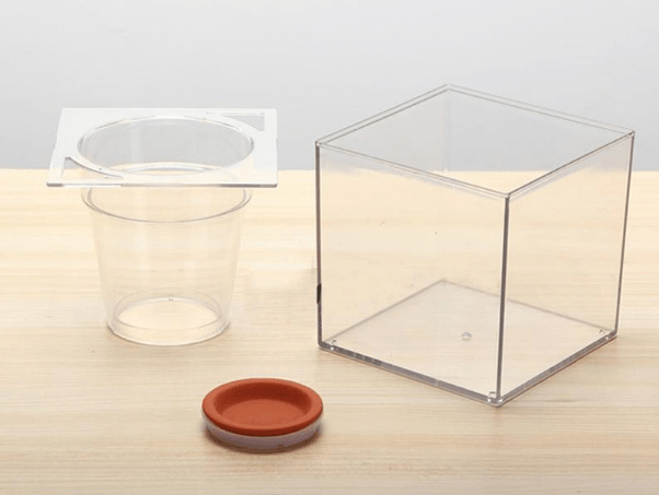Self-Watering Transparent Flowerpot: The Sustainable Solution For Home Gardening