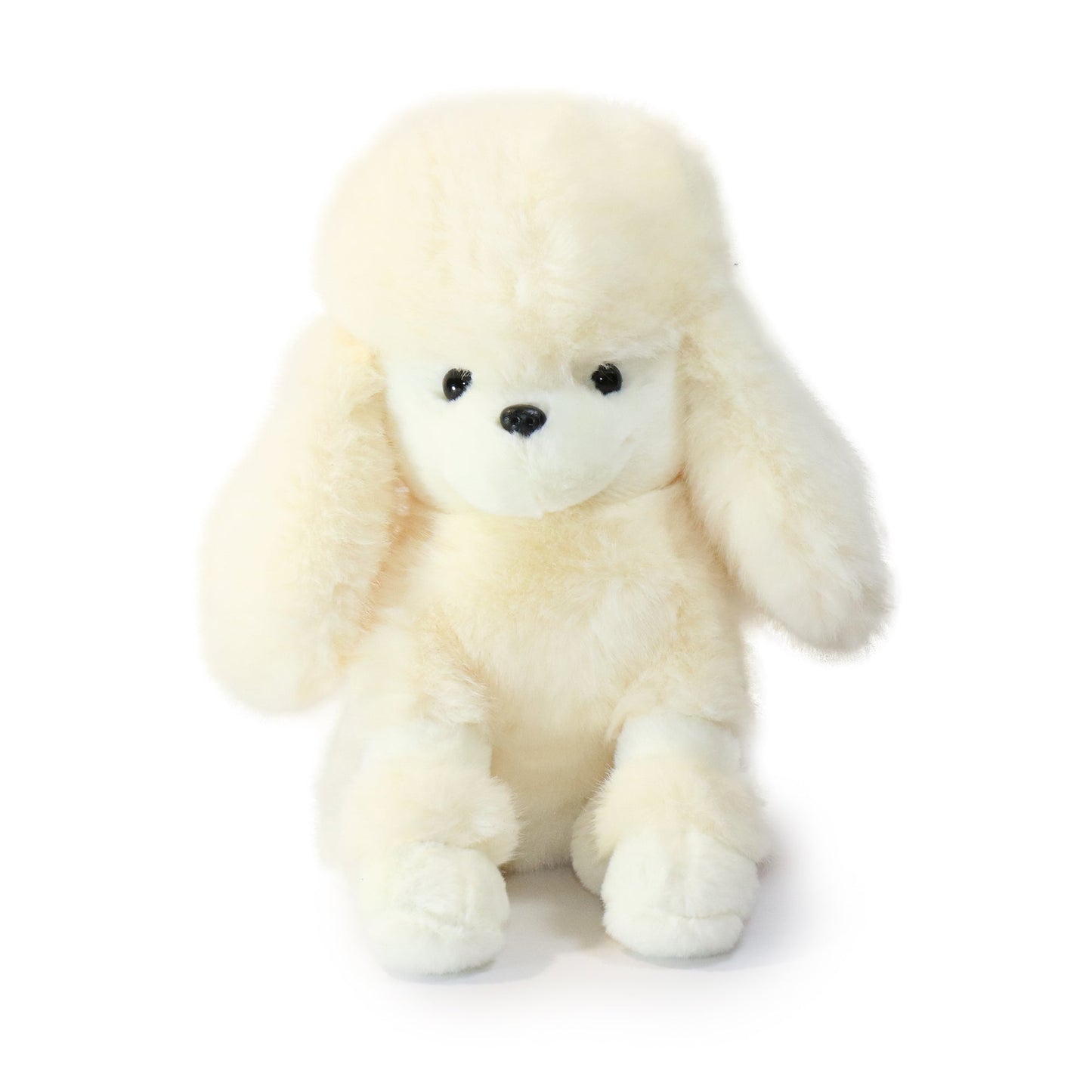 Pawla Poodle