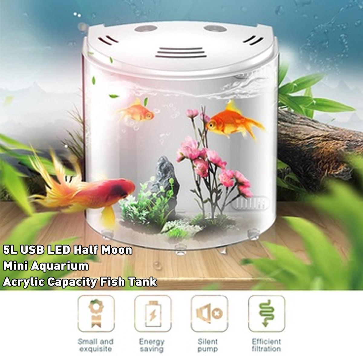 Eco-Aquaview: The Ultimate Ecological Acrylic Fish Tank