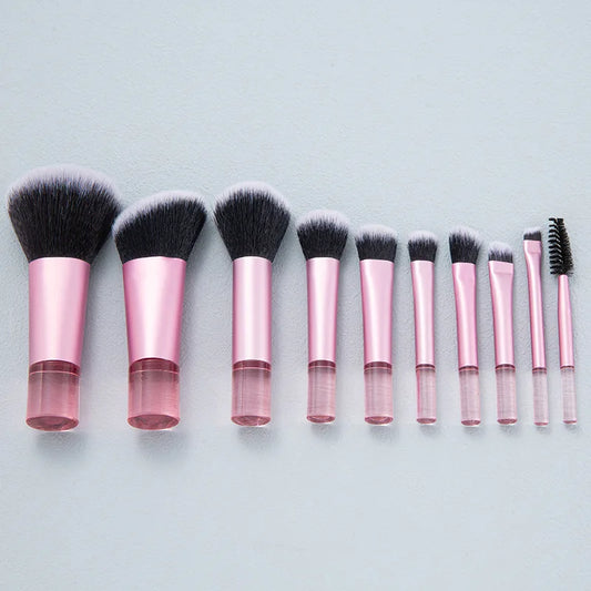 10 Piece Mini Makeup Brush Set Professional Tools