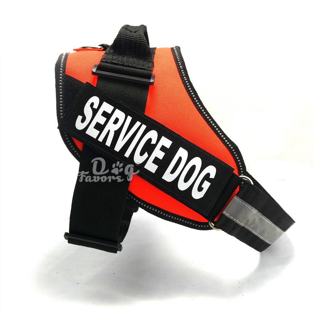Scientific Comfort Dog Chest Strap: The Ultimate Solution For Health And Comfort-4