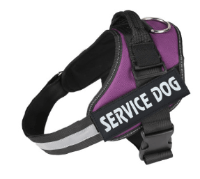 Scientific Comfort Dog Chest Strap: The Ultimate Solution For Health And Comfort-11
