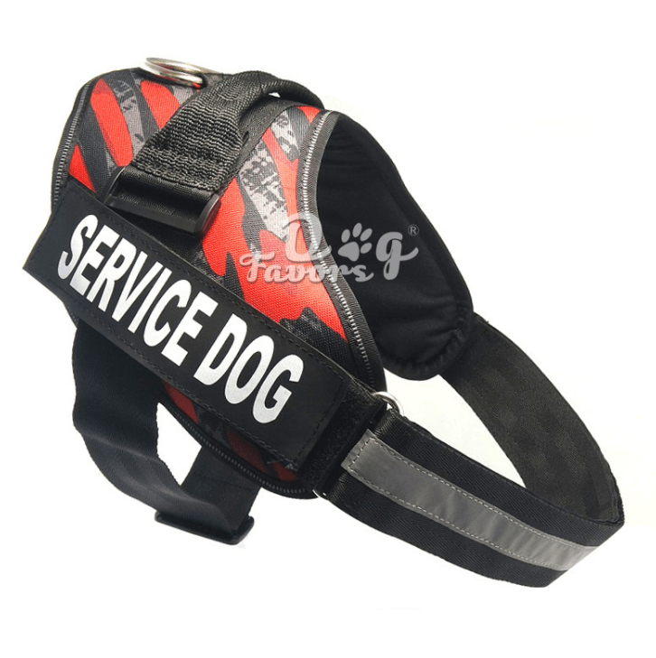 Scientific Comfort Dog Chest Strap: The Ultimate Solution For Health And Comfort-8