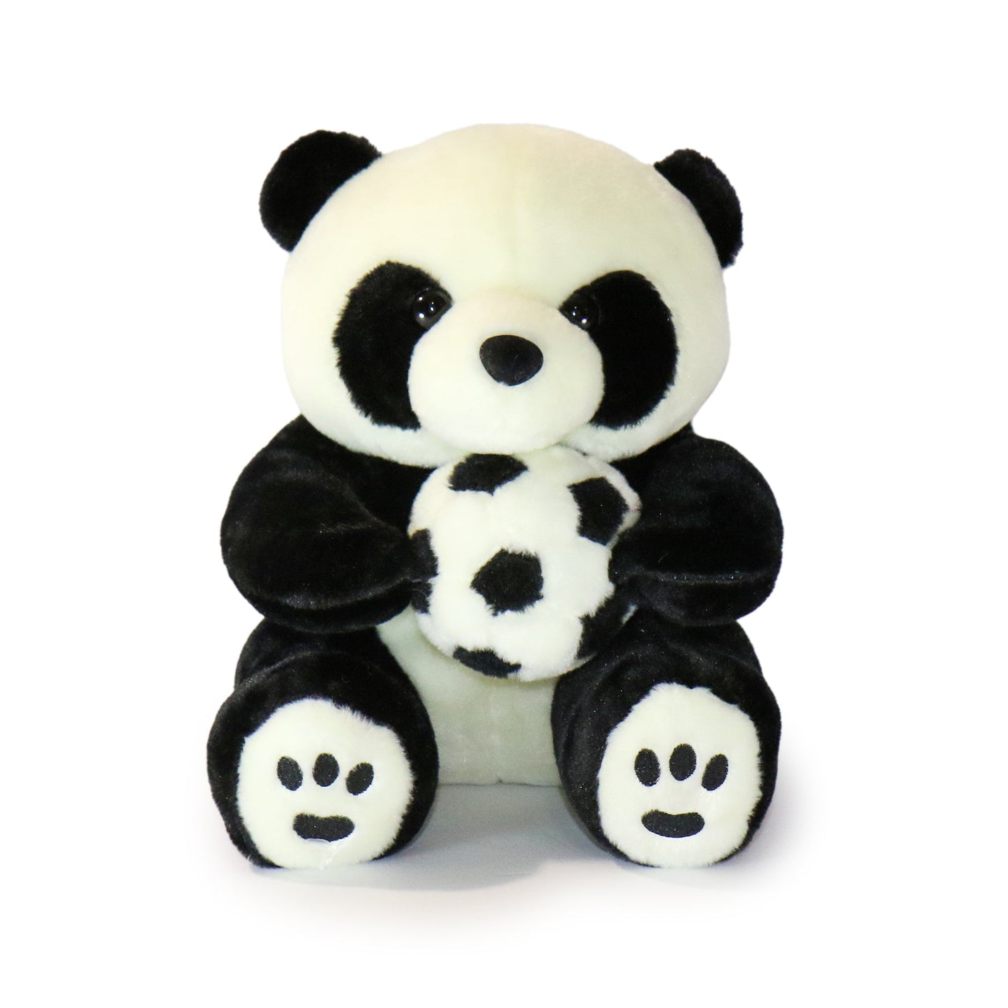 Dash Panda