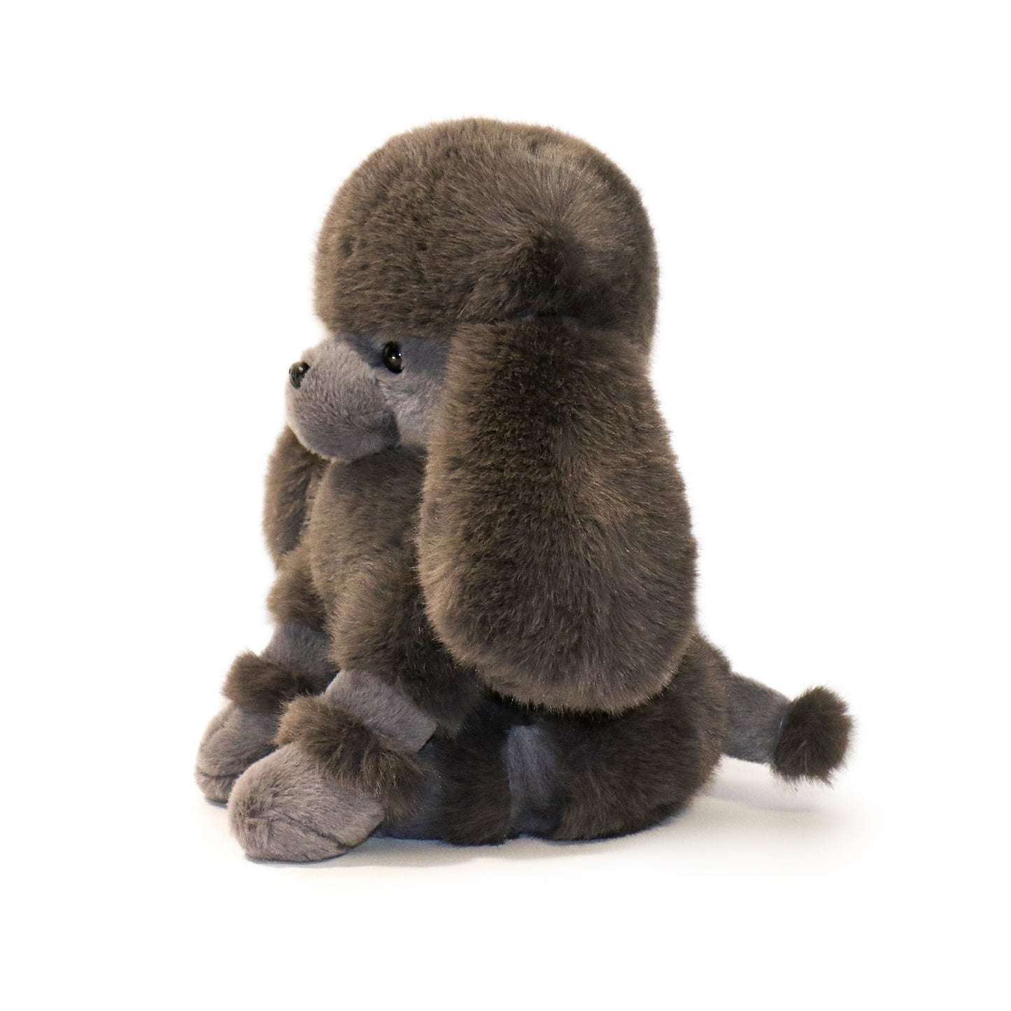 Pawla Poodle