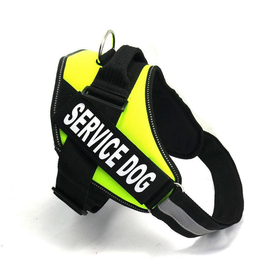 Scientific Comfort Dog Chest Strap: The Ultimate Solution For Health And Comfort-0