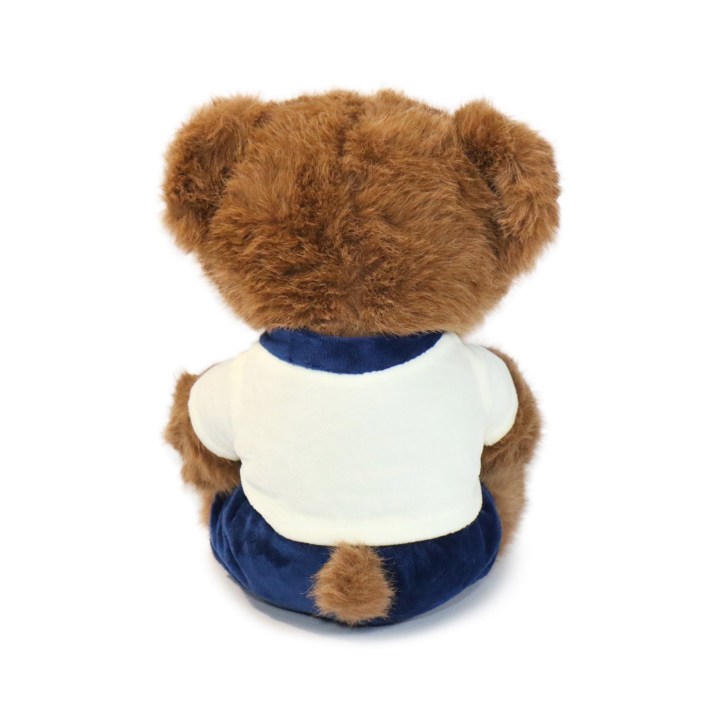 Fashionable Huggable Bear