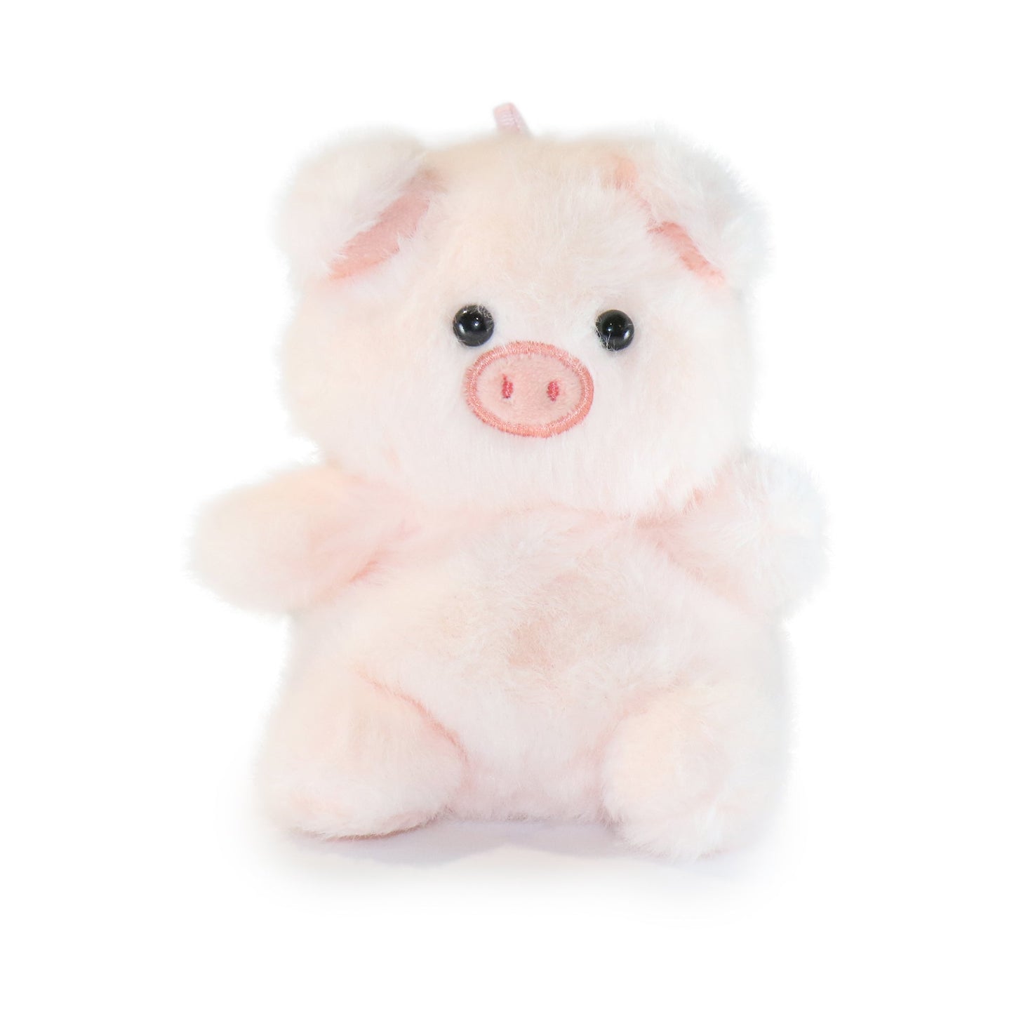 Pinky Pig