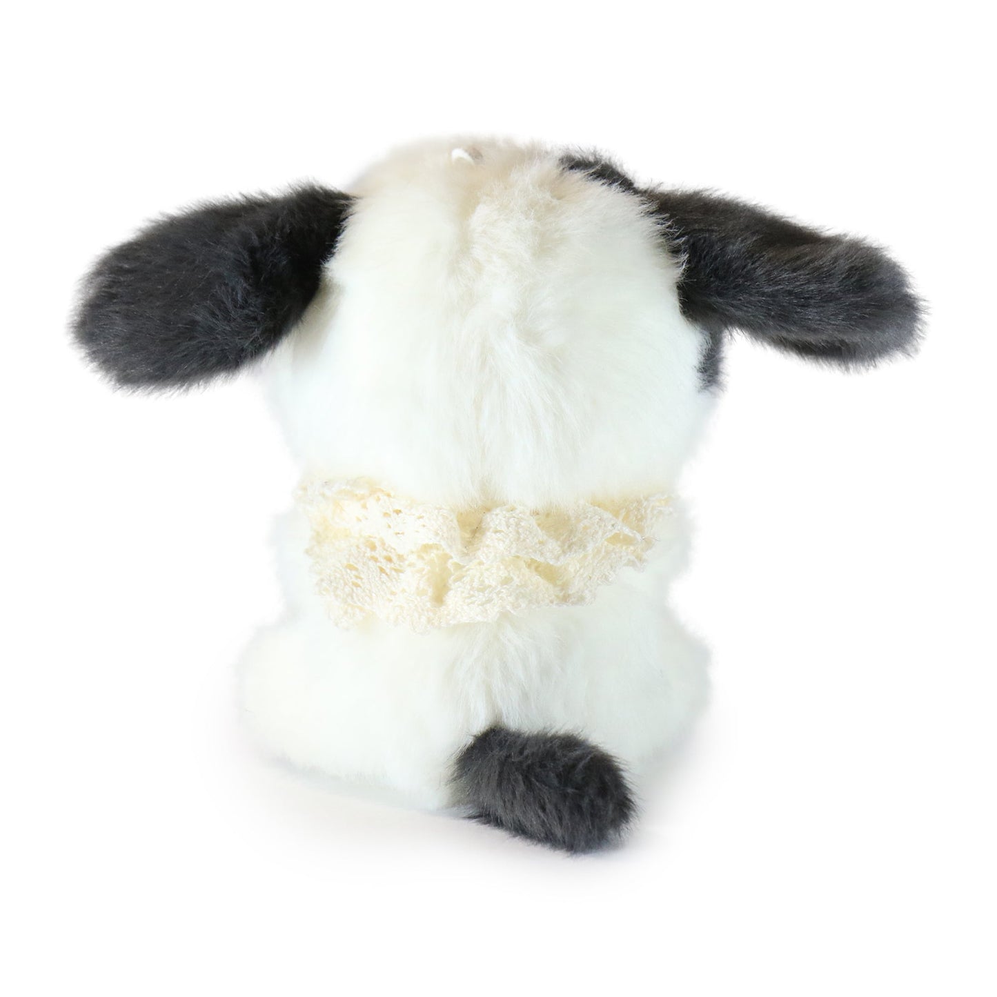 Tiny Tootie Dog
