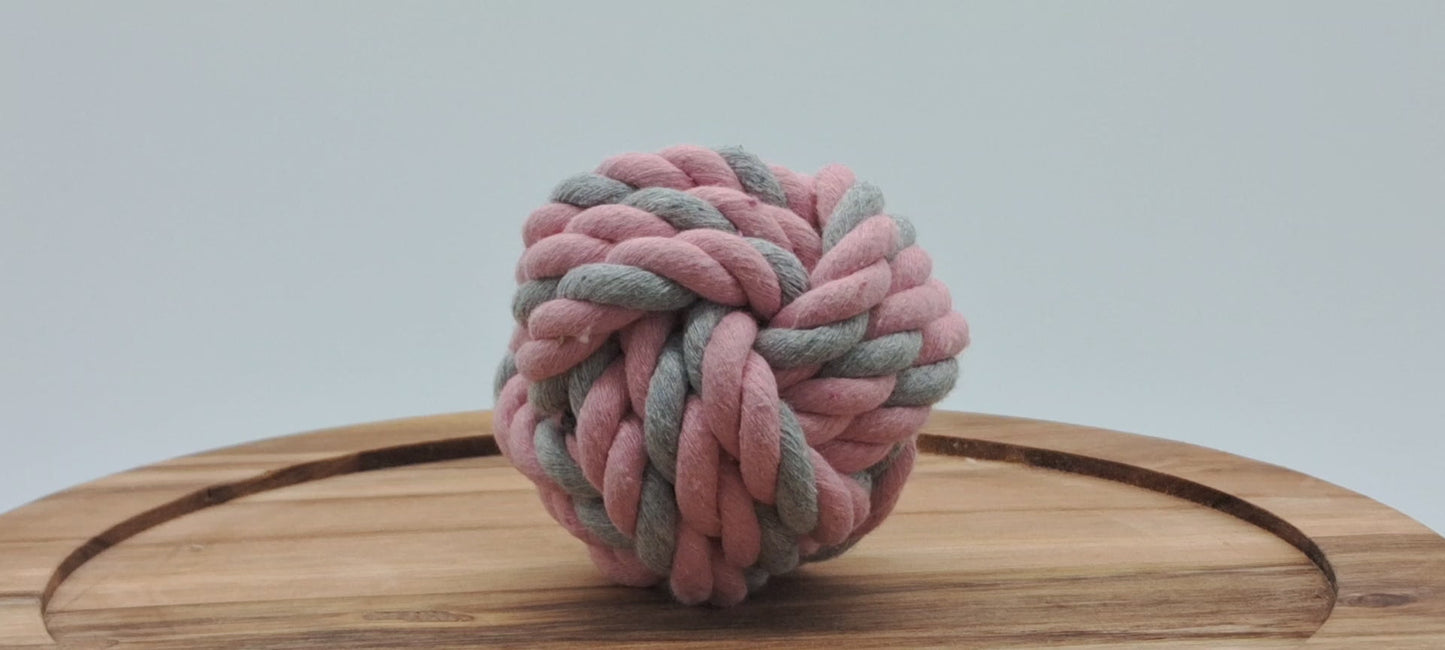 Fetch Ball